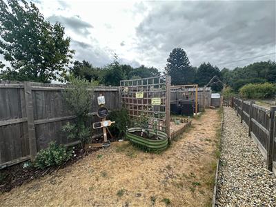 Picture 16